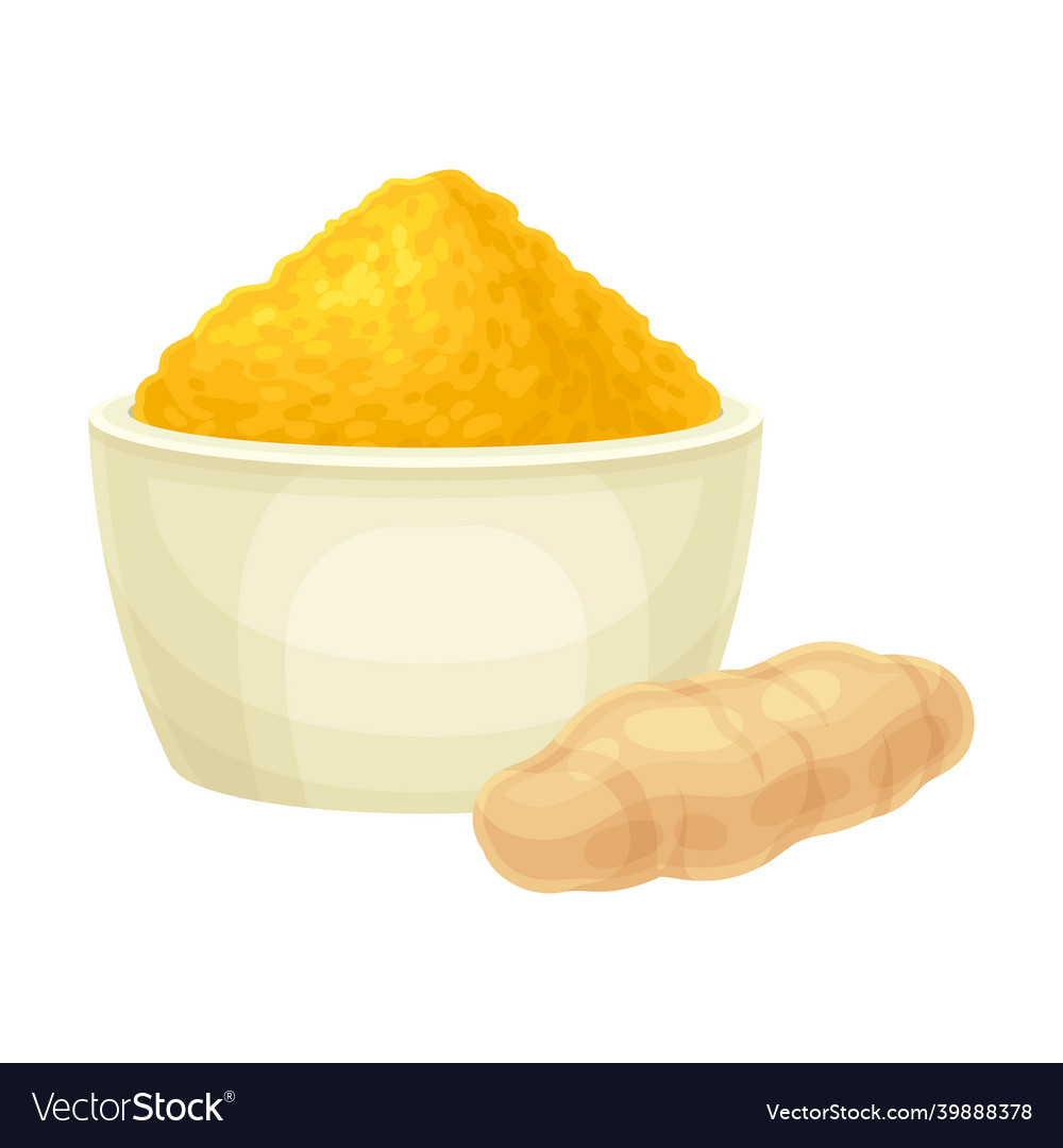 Turmeric or curcuma longa rhizome and powder Vector Image