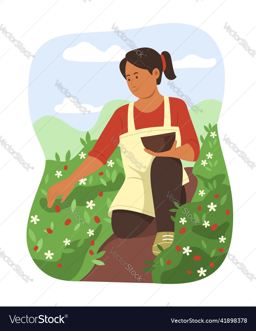 Woman picking fresh fruit in garden vector image Woman picking fresh fruit in garden