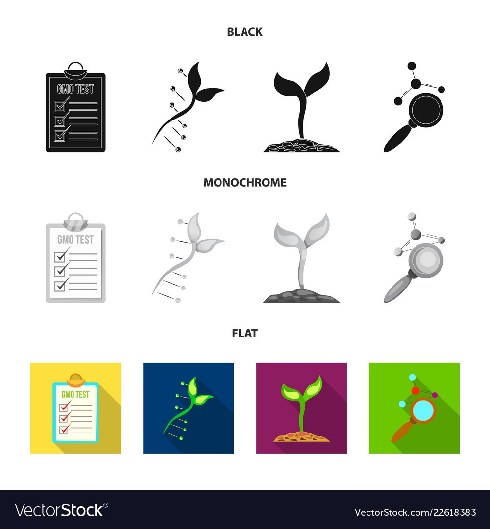 Isolated object of and logo set s vector image Isolated object of and logo set s