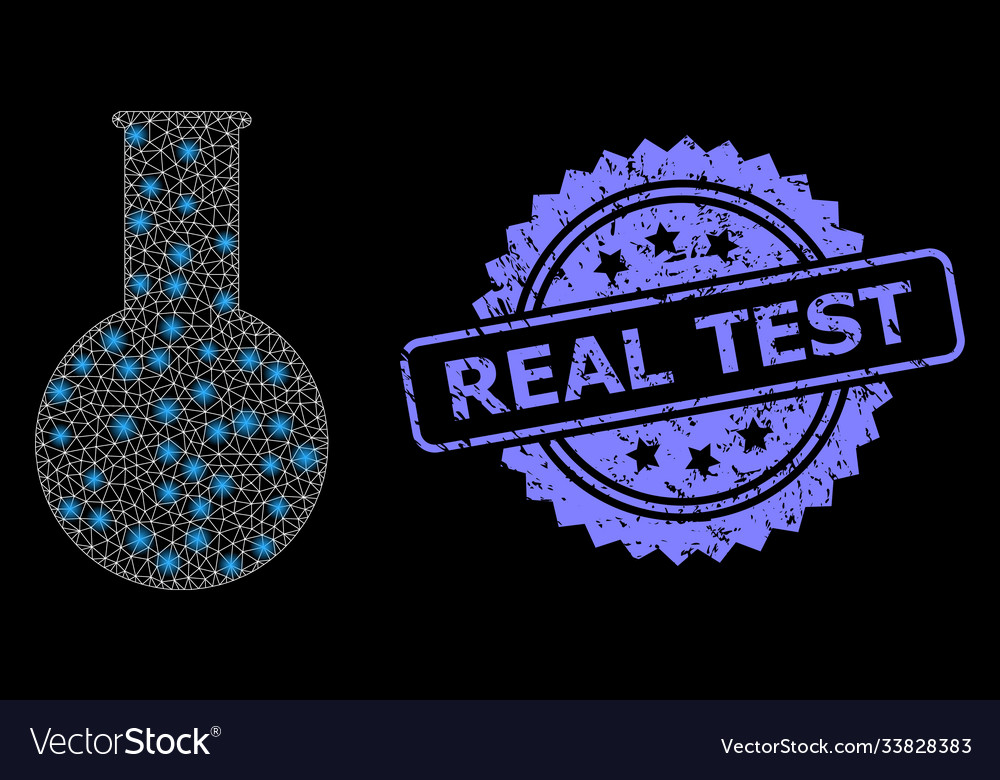 Textured real test stamp and bright web net vector image Textured real test stamp and bright web net