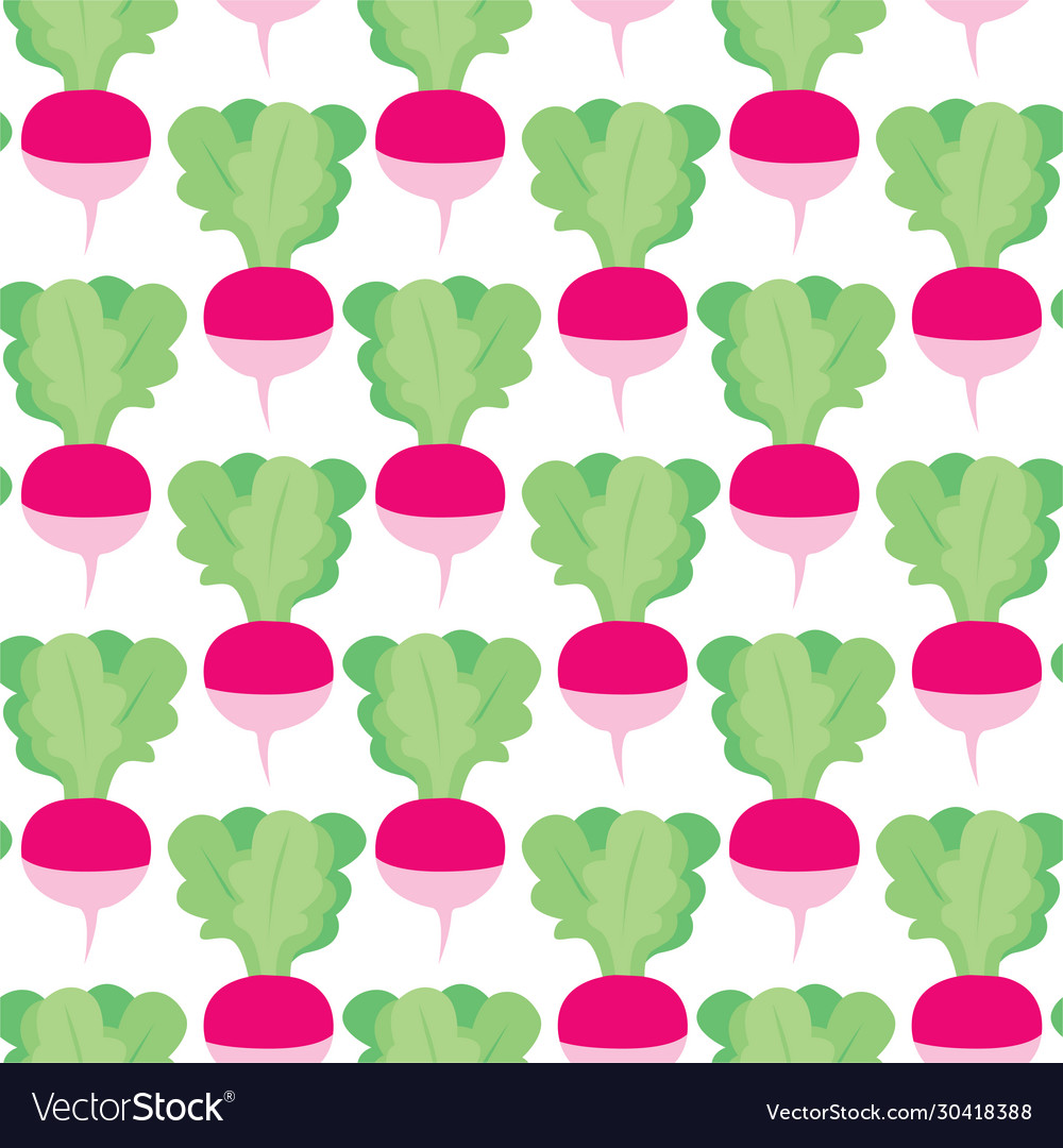 Radish seamless pattern