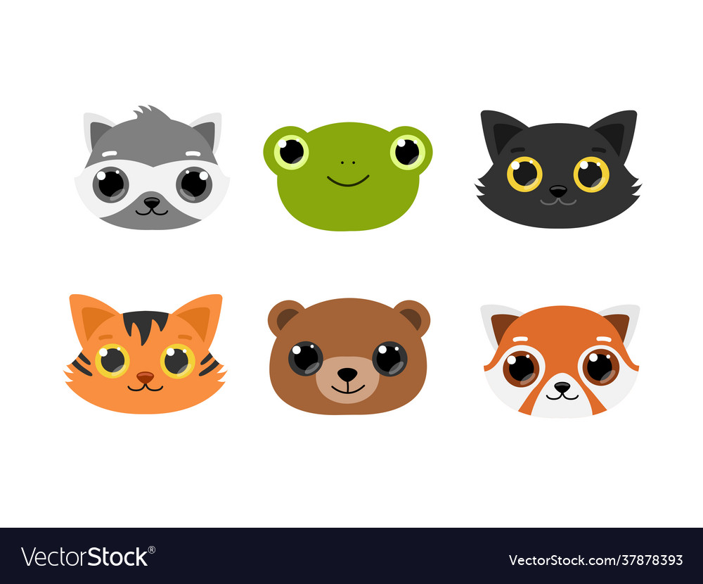 Portraits cute animals raccoon frog cat tiger