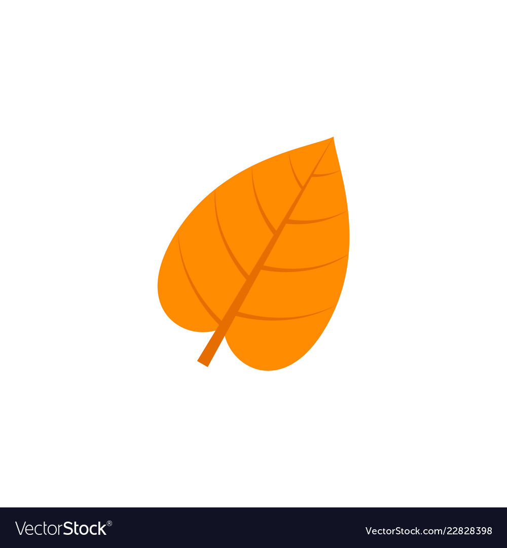 Cordate leaf flat icon Royalty Free Vector Image