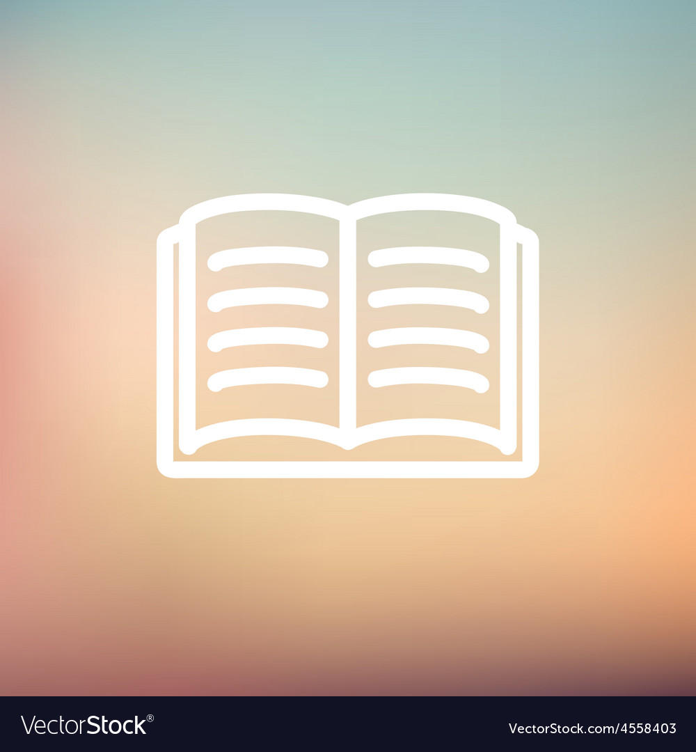 Open book thin line icon