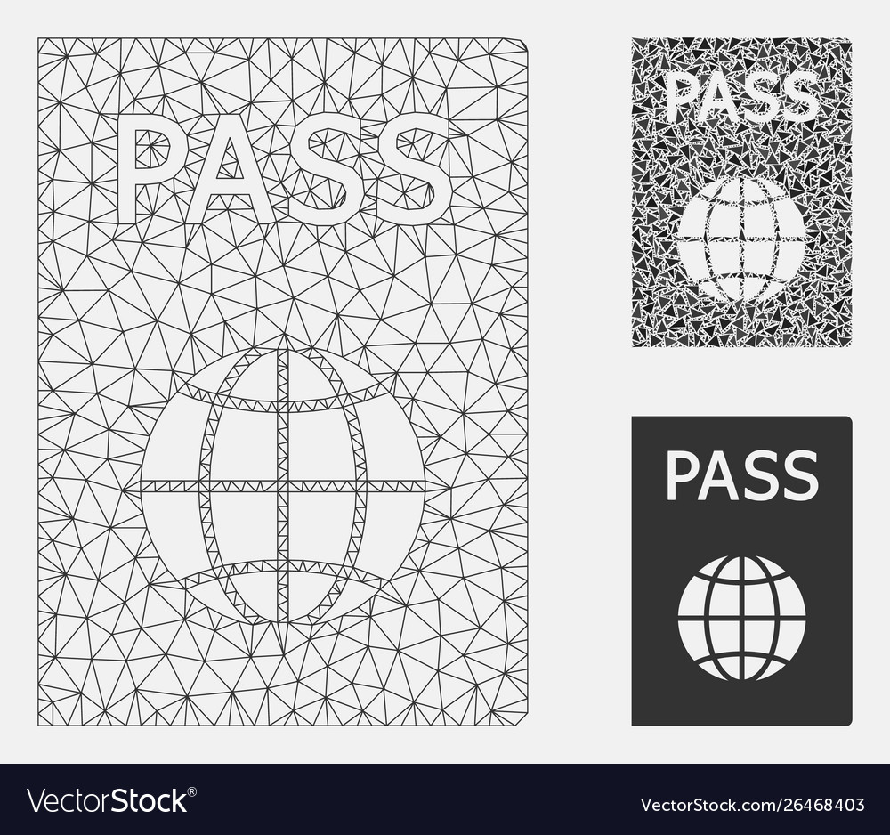 Passport mesh network model and triangle vector image Passport mesh network model and triangle