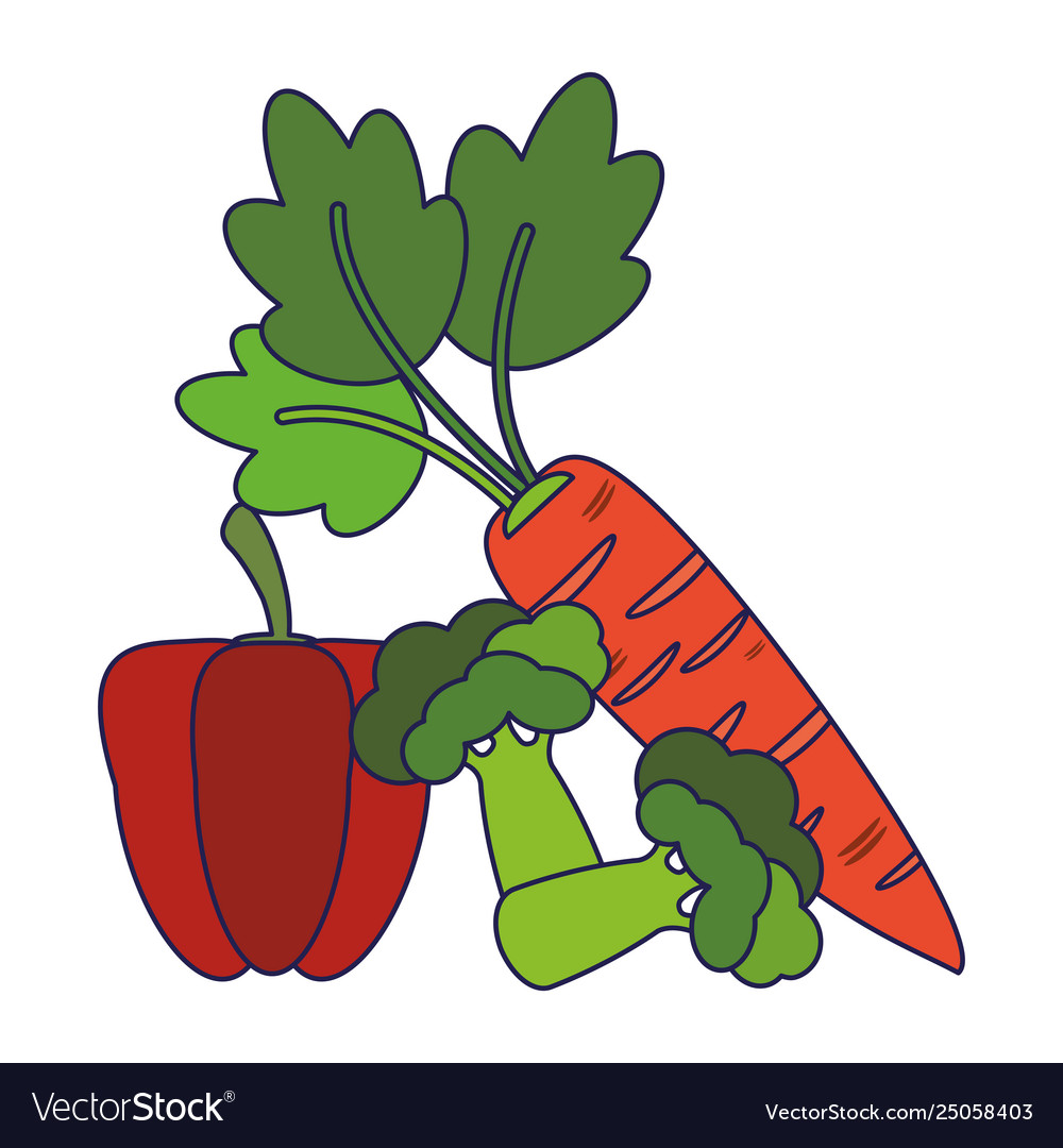 Pepper and broccoli with carrots blue lines