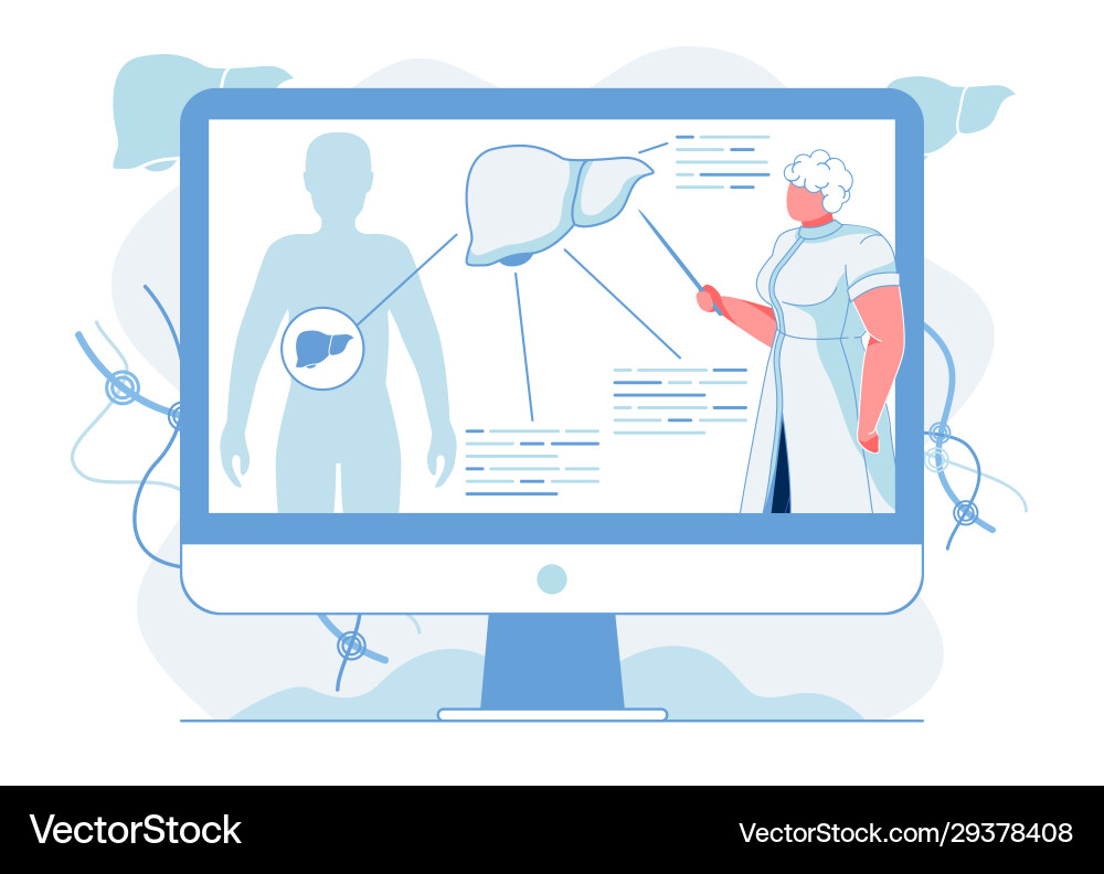 Liver anatomy description flat Royalty Free Vector Image