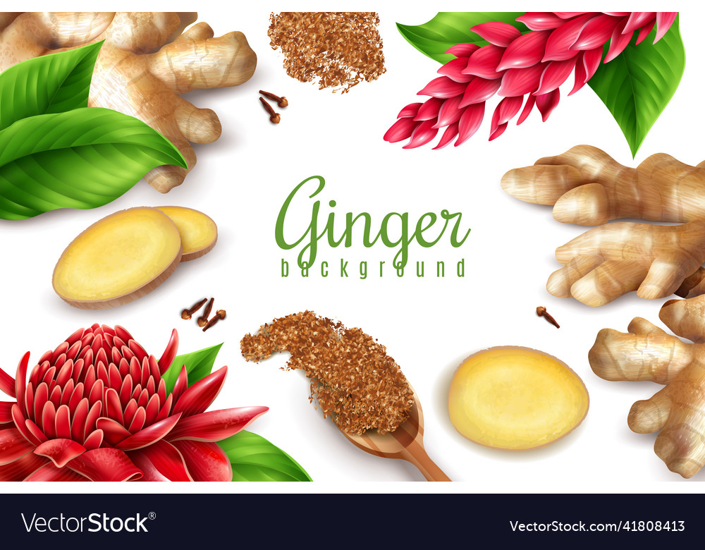 Ginger realistic background frame Royalty Free Vector Image