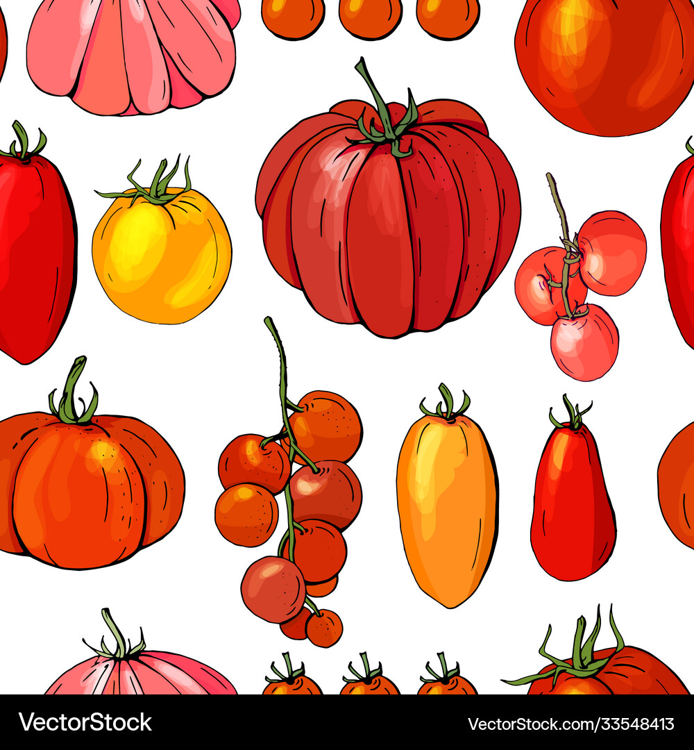 Seamless pattern with vegetables on white various Vector Image