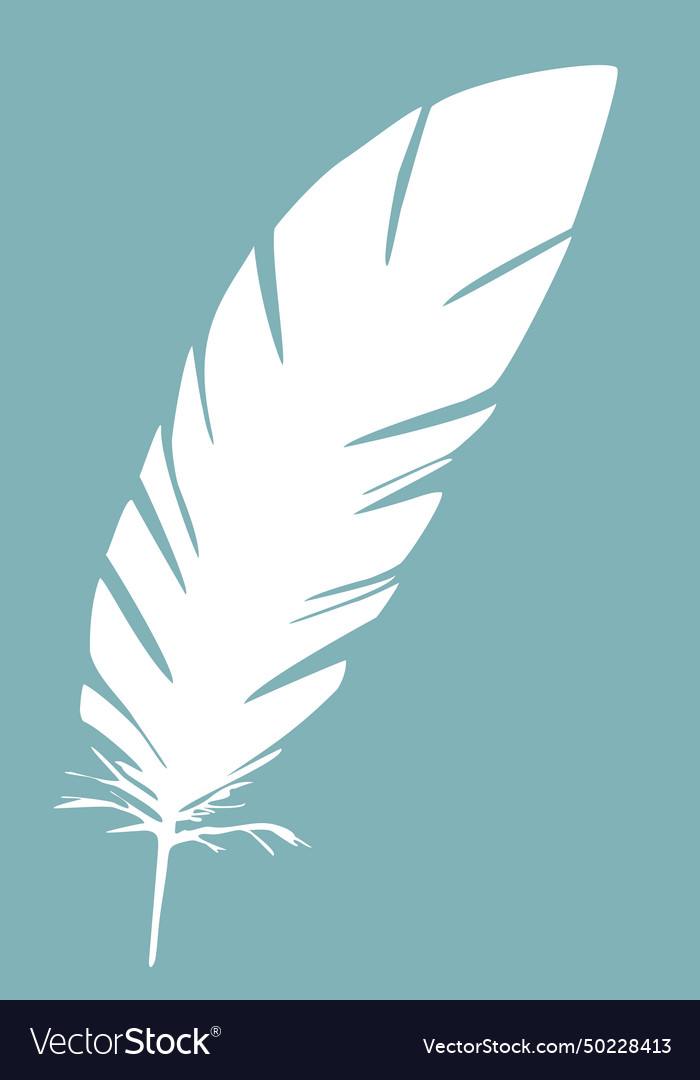 White feather Royalty Free Vector Image - VectorStock