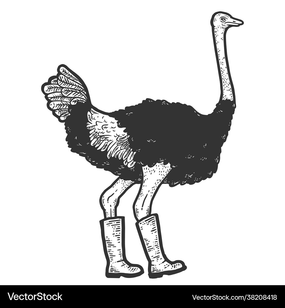 imitation ostrich boots