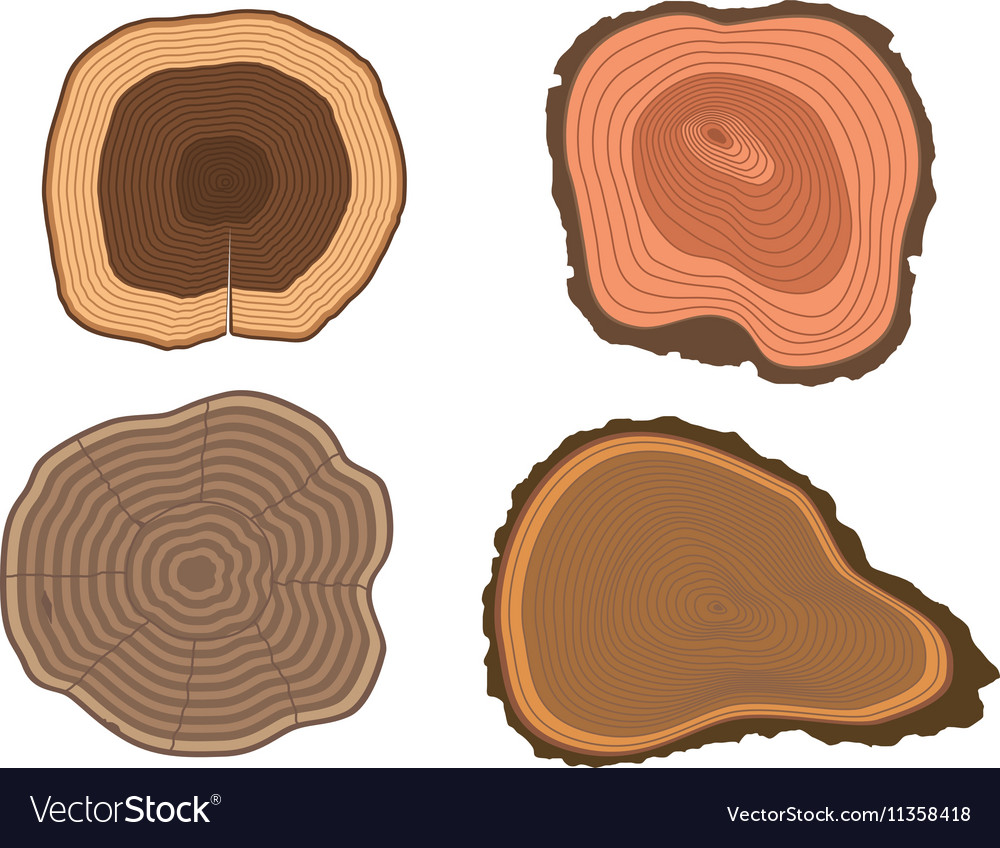 Tree slices set