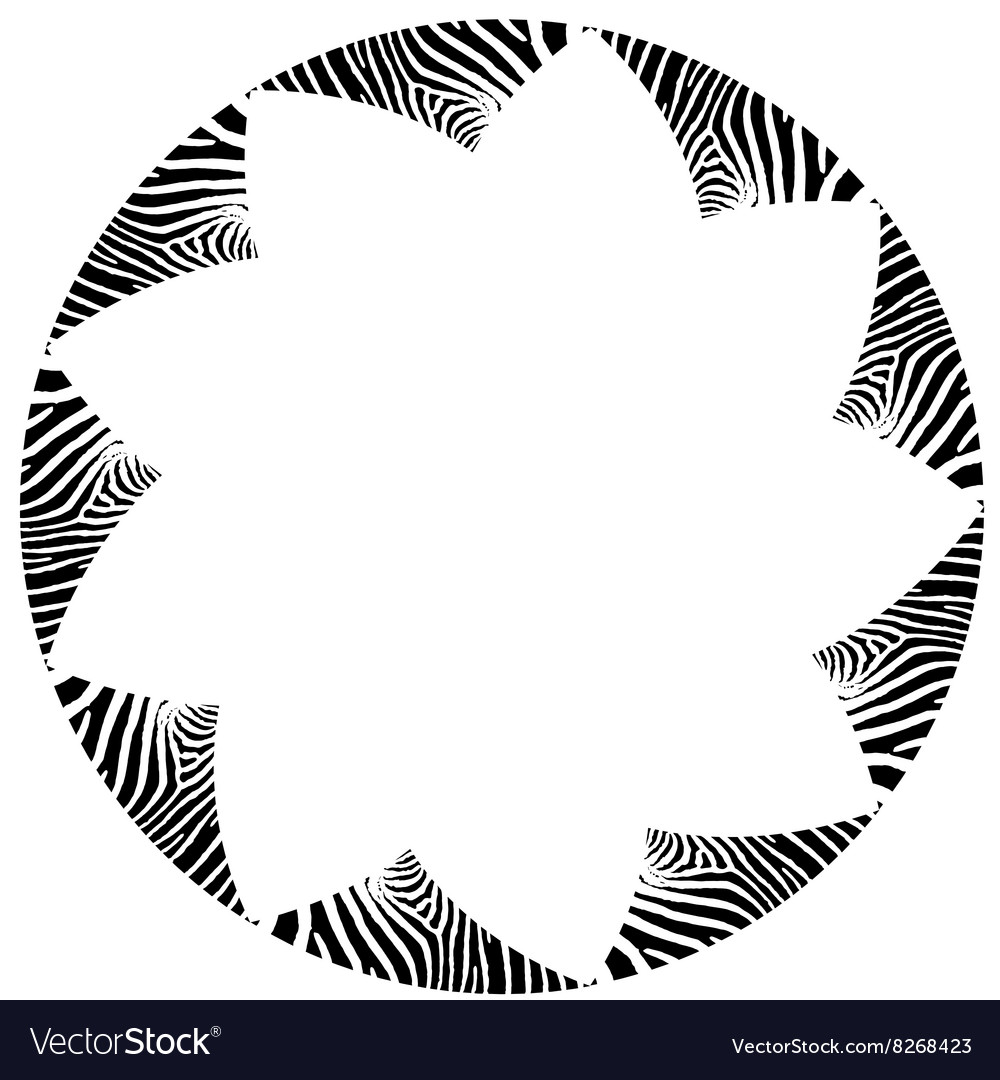 Abstract zebra frame