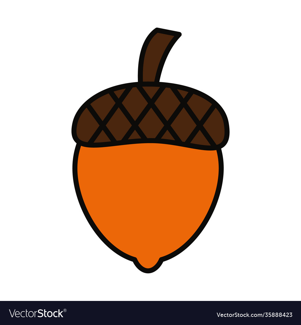 Acorn icon image line and fill style