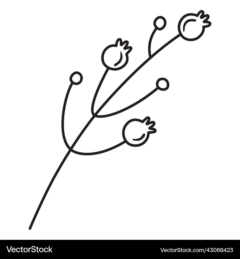 Spring Buds Graphics Spring fruit buds stroke Royalty Free Vector Image