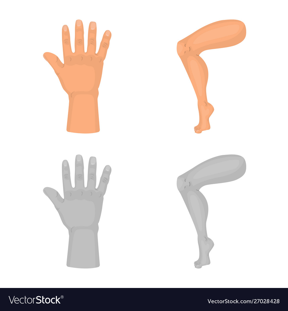 Isolated object body and part symbol set