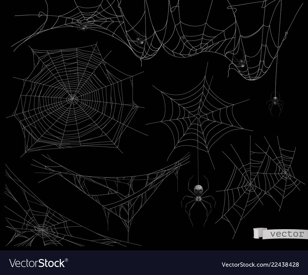 Spider web set elements Royalty Free Vector Image