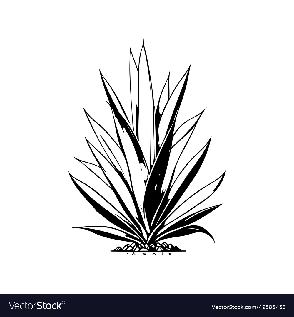 Agave Icon Hand Draw Black Plant Logo Symbol Vector Image