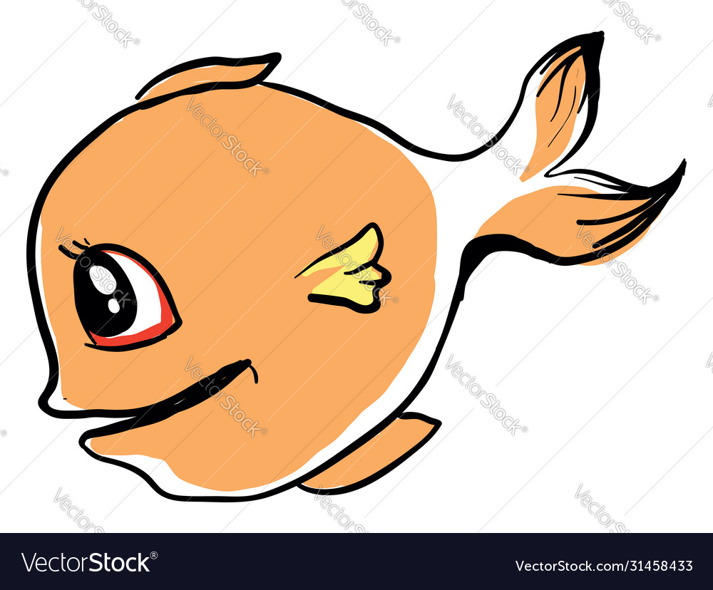 Fat fish on white background Royalty Free Vector Image