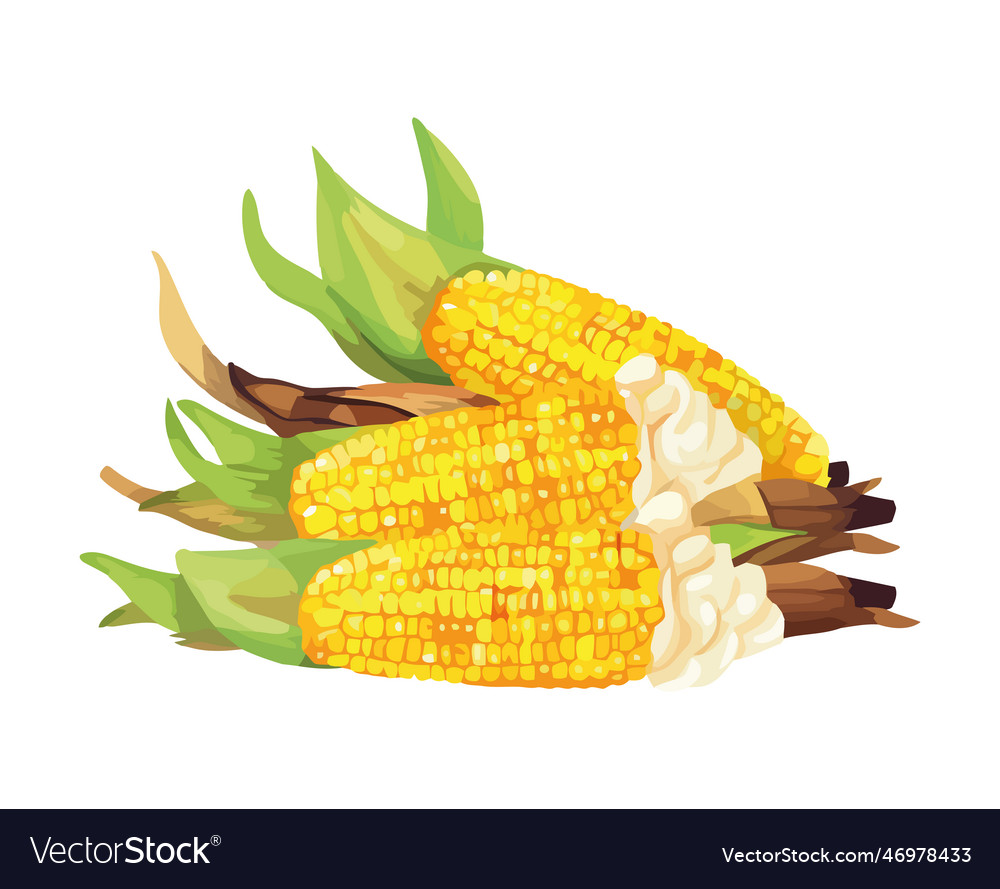 easy-blackstone-corn-on-the-cob-recipe-grillonadime