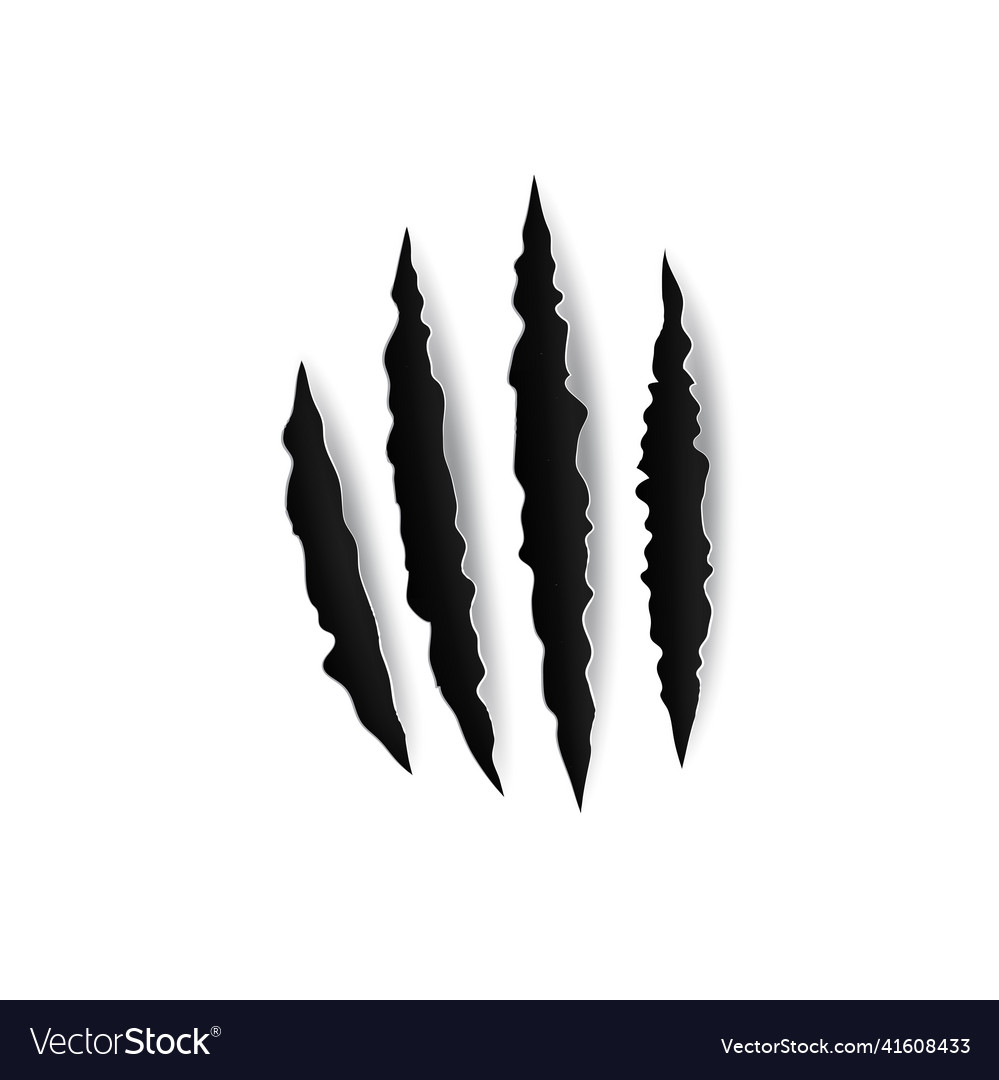 Scratches of claw animals nails trace on paper Vector Image Scratches of claw animals nails trace on paper