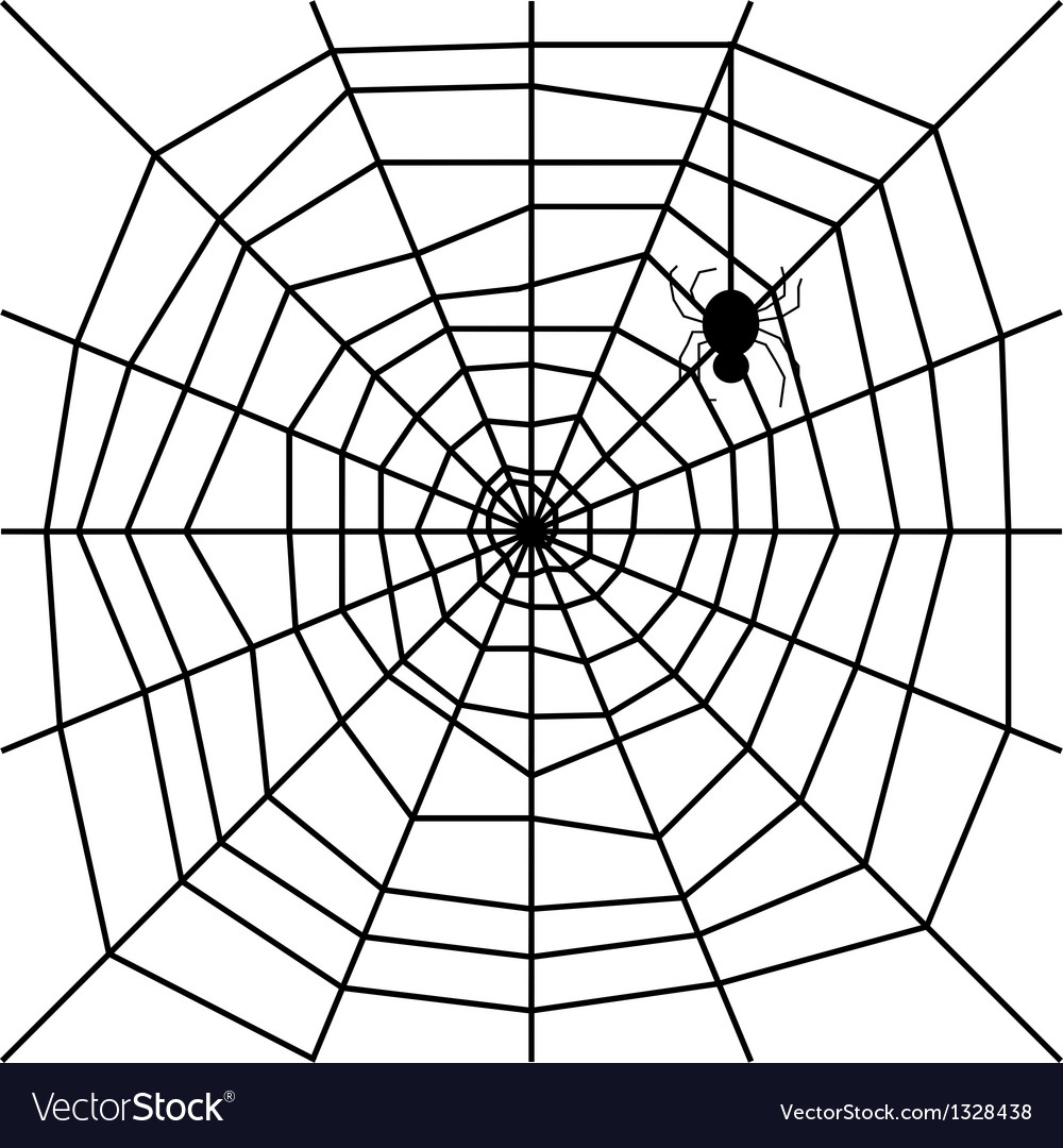 Cobweb with spider silhouette