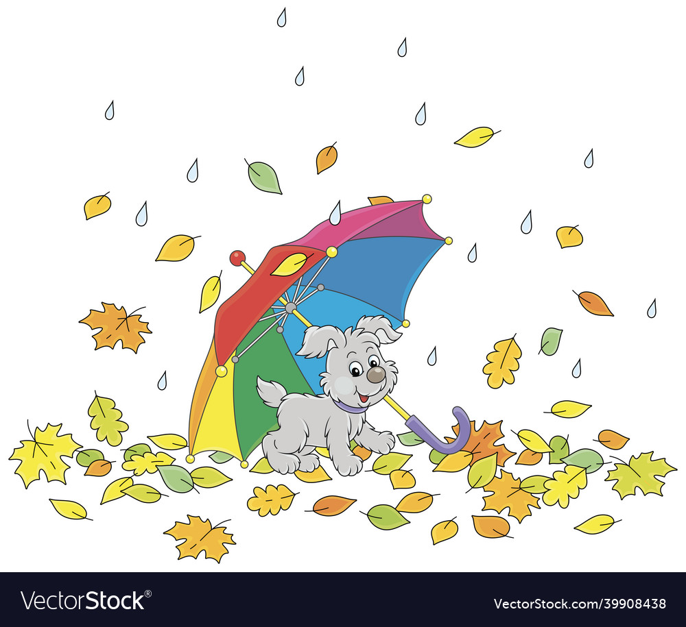 Little pup under a colorful toy umbrella