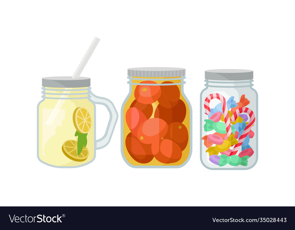 Glass jars with different objects inside vector image Glass jars with different objects inside