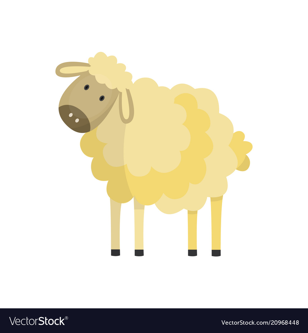 Cute Fluffy Sheep Illustration