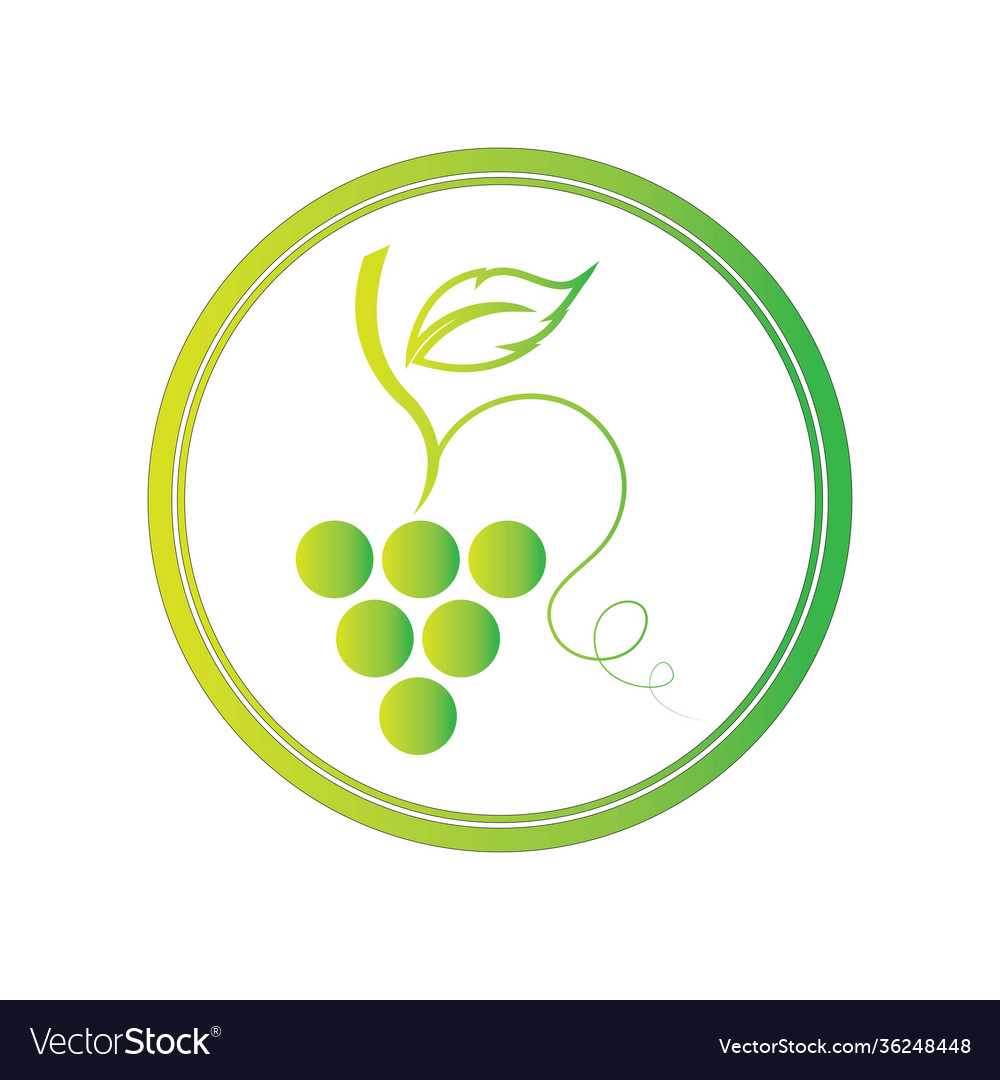 Grape Royalty Free Vector Image - VectorStock