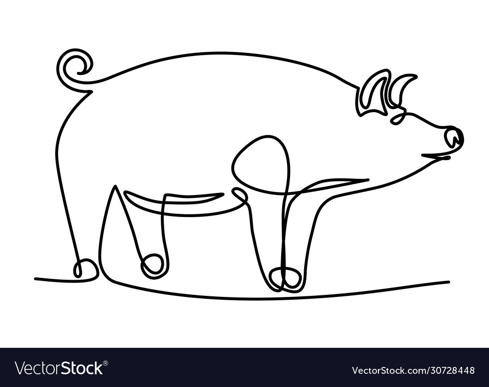 Pig in one continuous line
