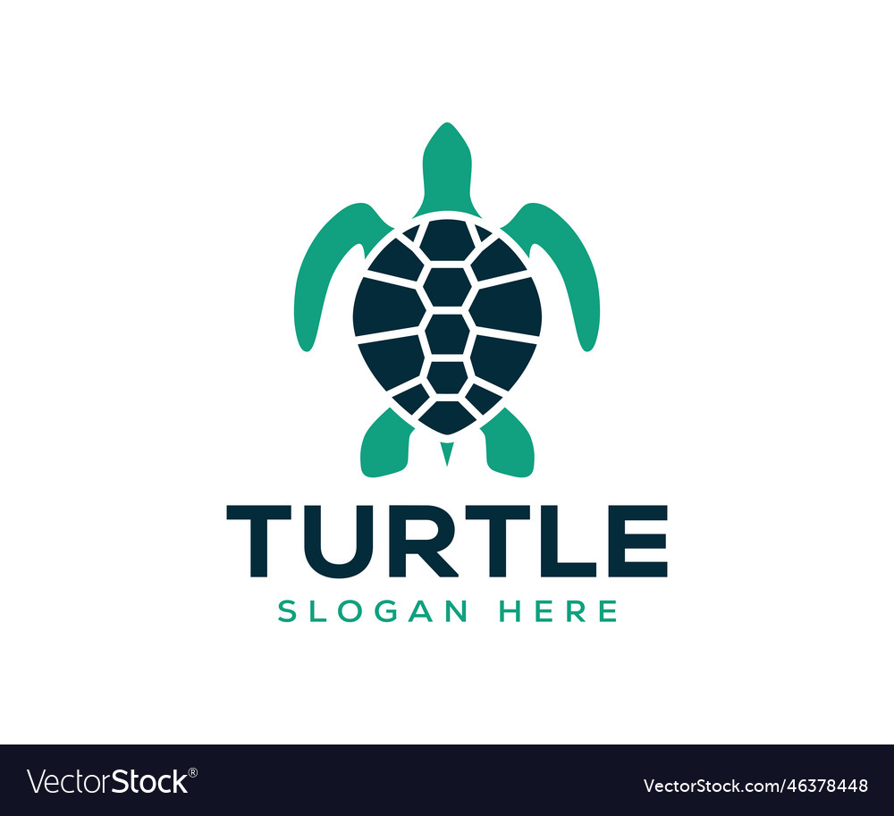 Turtle logo animal on a white background