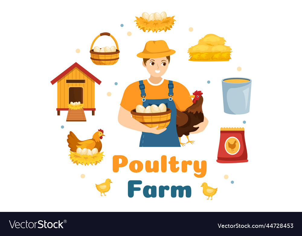 Poultry farming with farmer cage chicken and egg