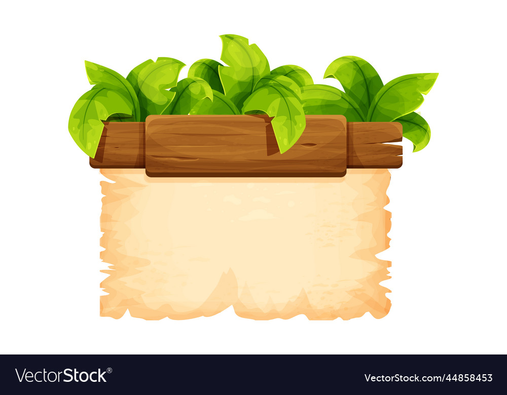 Tropical frame with wooden detail and parchment Vector Image