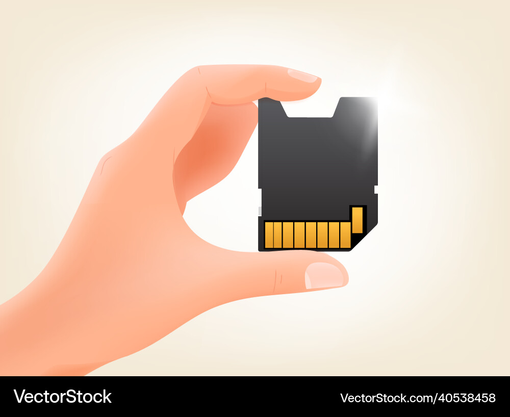 Man holding digital memory card in a hand Vector Image