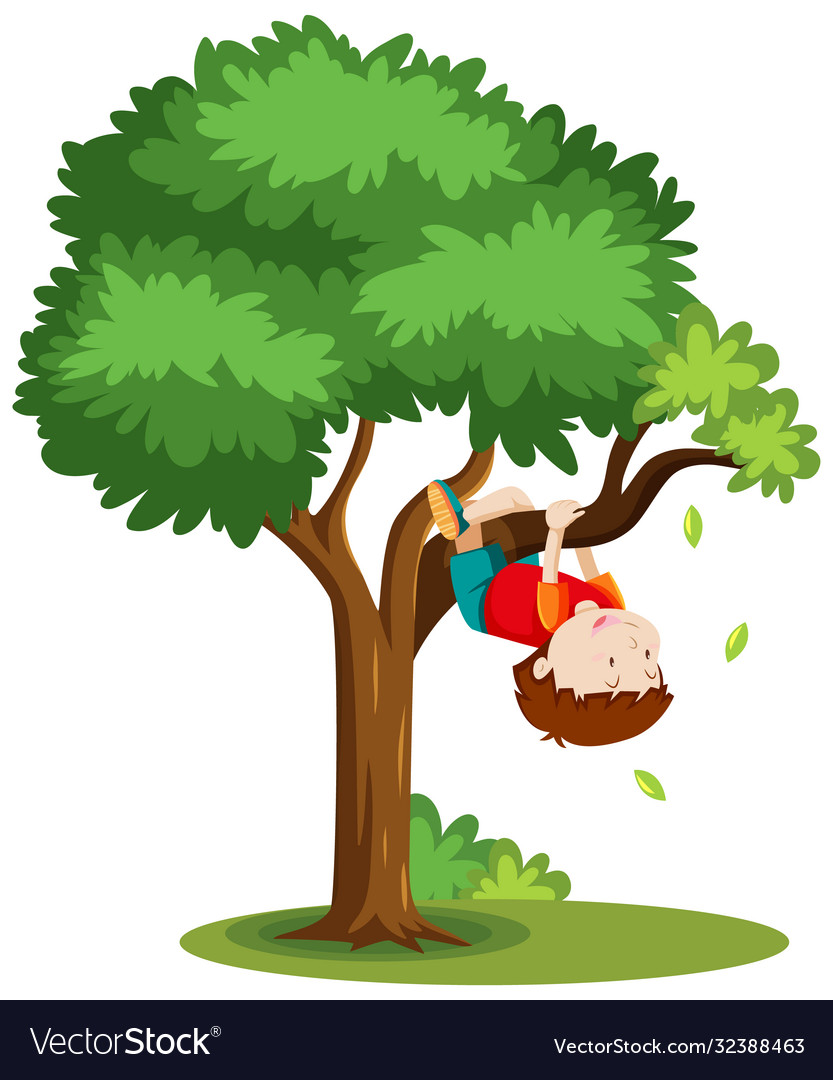 Boy climbing tree cartoon style isolated on Vector Image