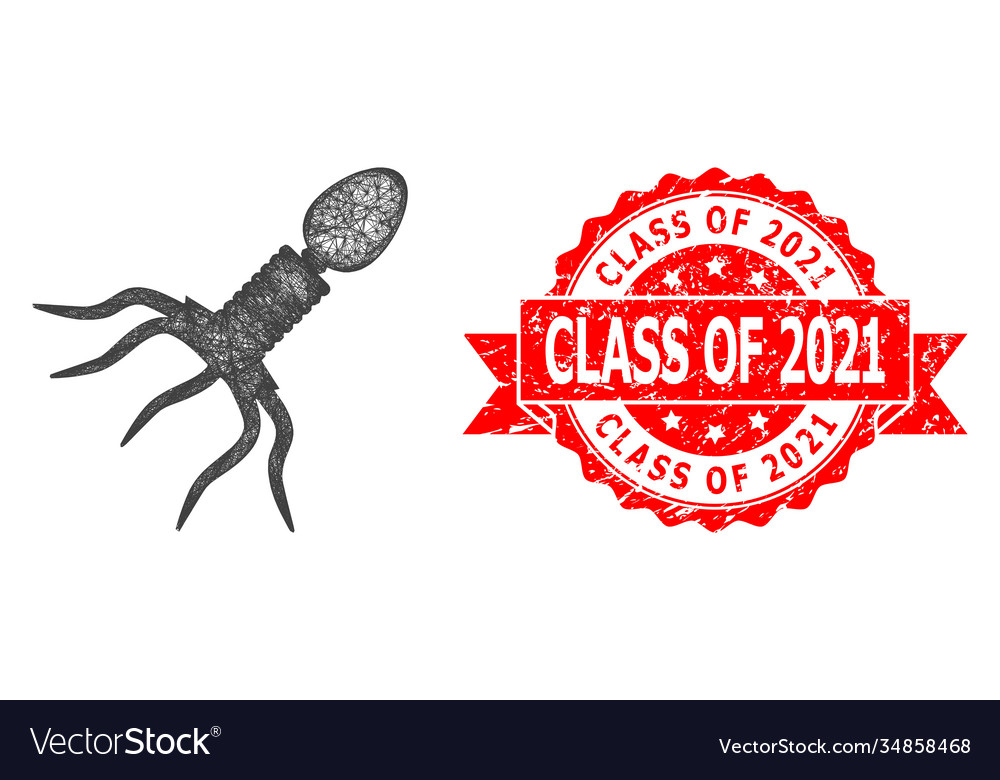 Grunge class 2021 seal and net virus structure