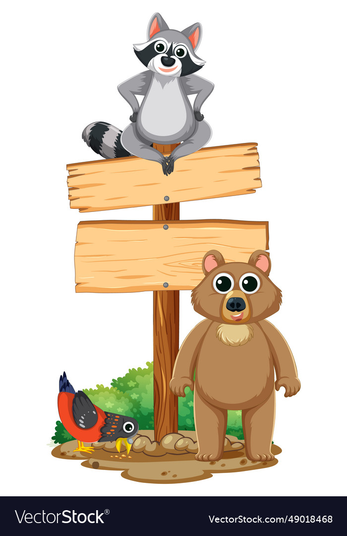 Natures wildlife bear raccoon and pigeon cartoon Vector Image