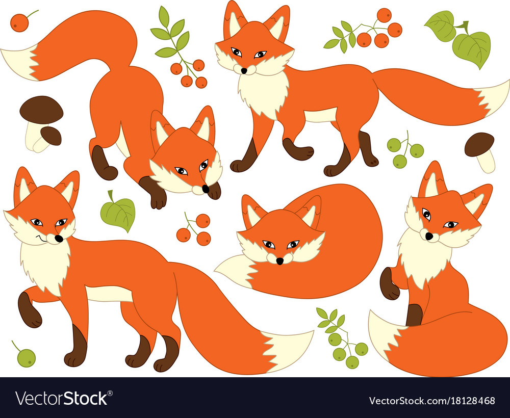 Set cute cartoon foxes Royalty Free Vector Image