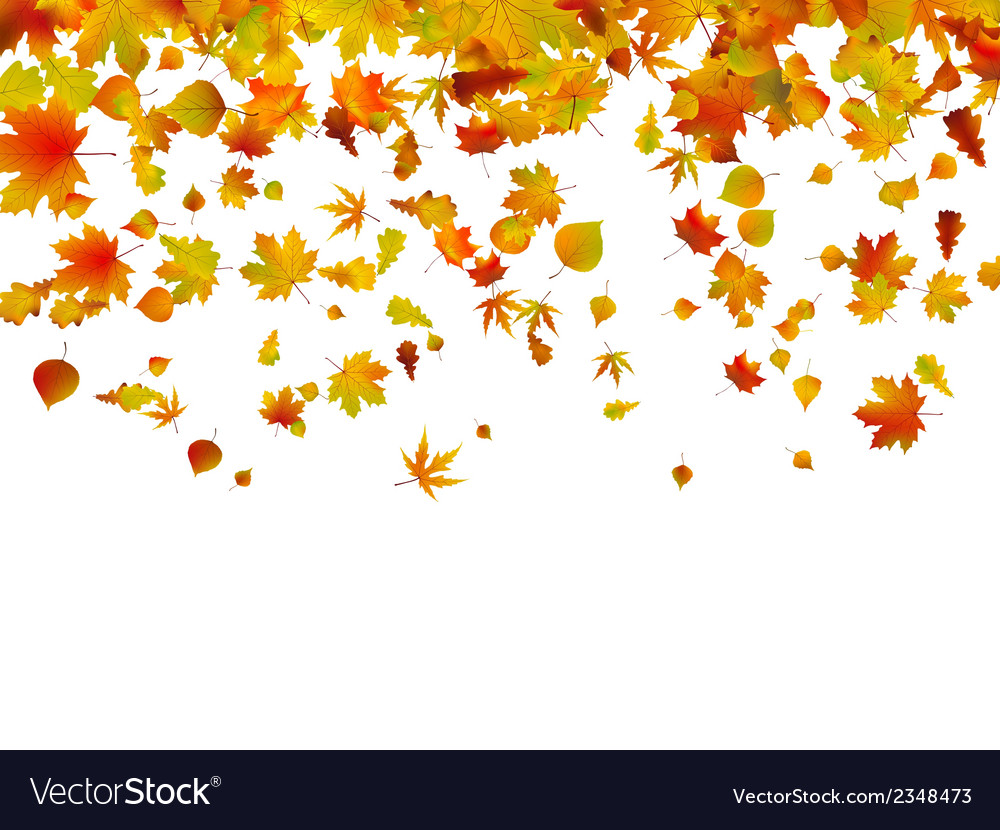 Background of autumn leaves eps 8 Royalty Free Vector Image