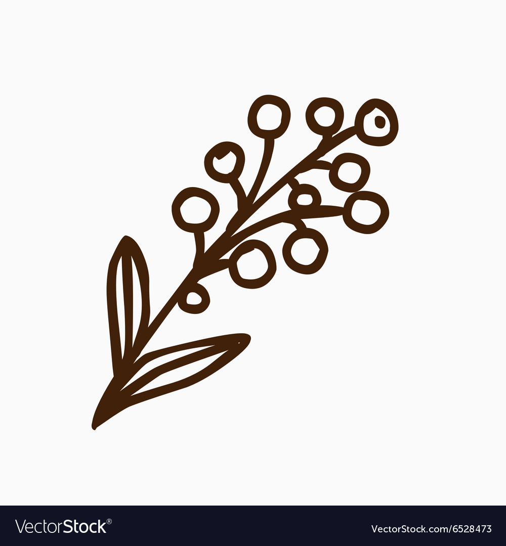 Hand drawn lavender Royalty Free Vector Image - VectorStock