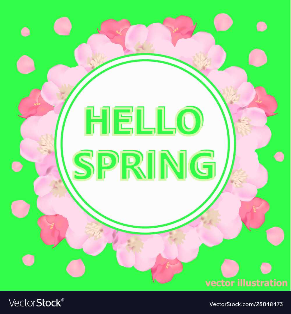 Hello spring background