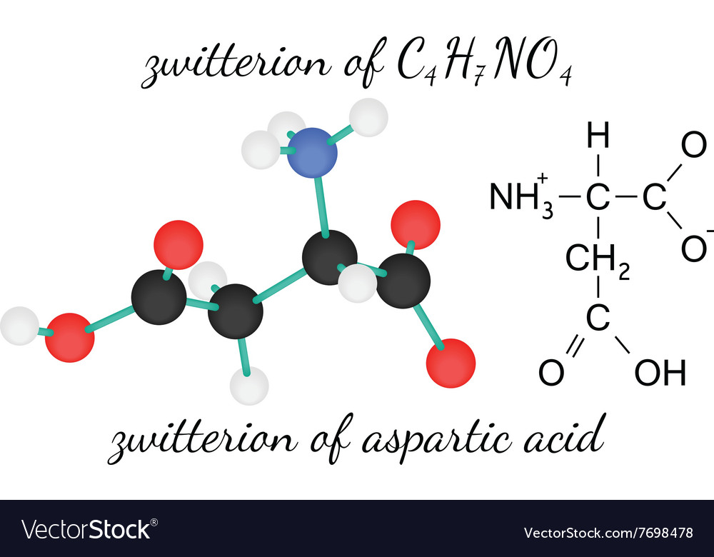 C4H7NO4 zwitterion of aspartic acid amino acid Vector Image