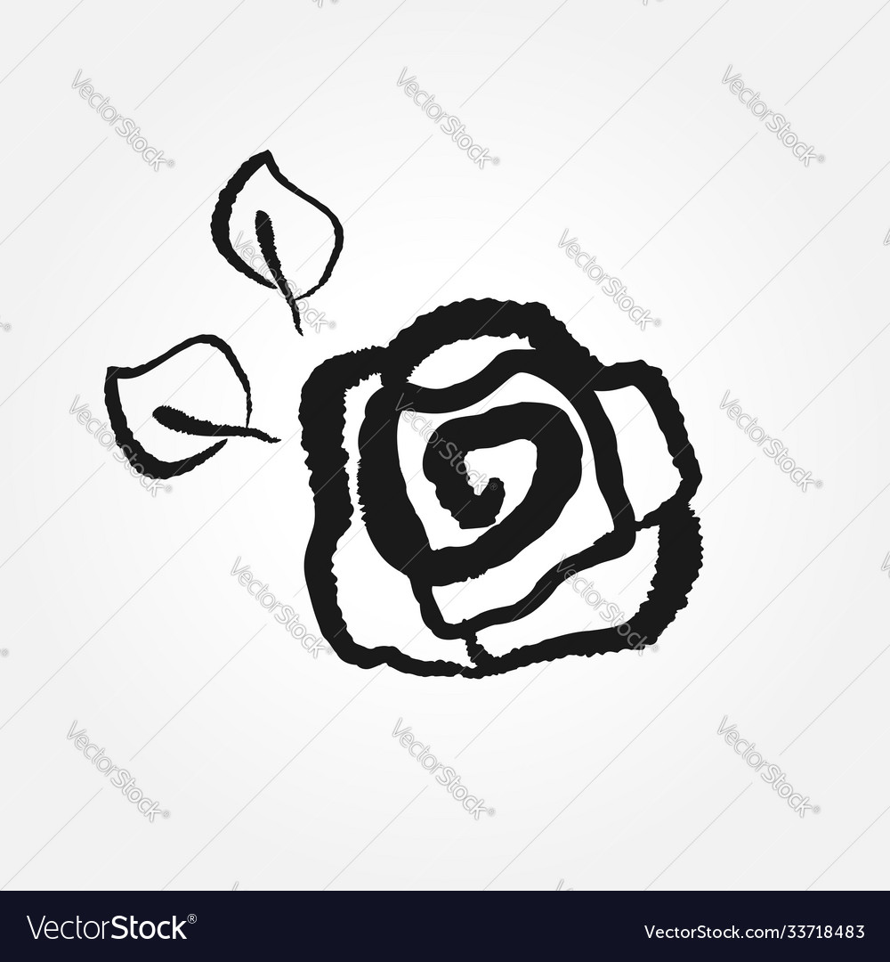 Rose with leaves drawn hand icon logo symbol