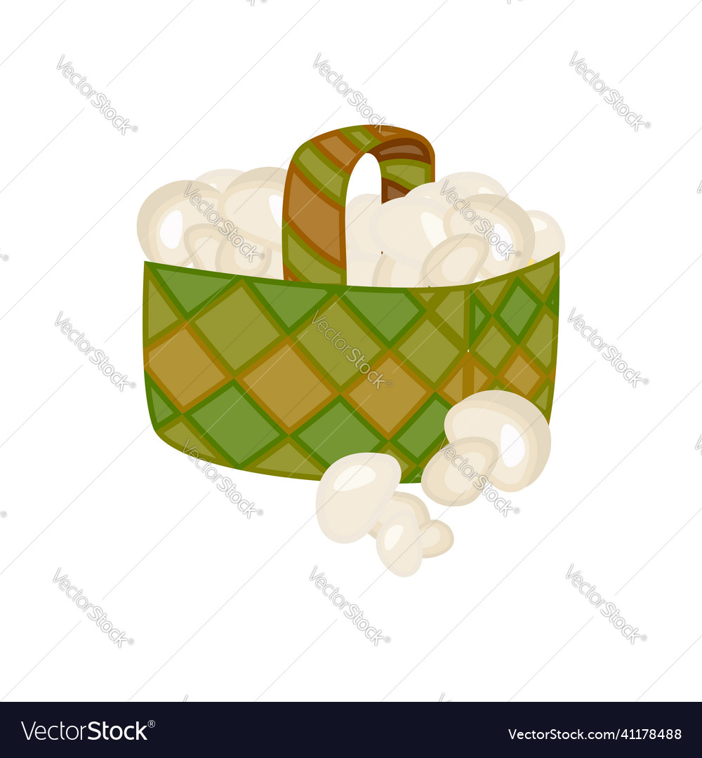 Isolated on white background woven basket