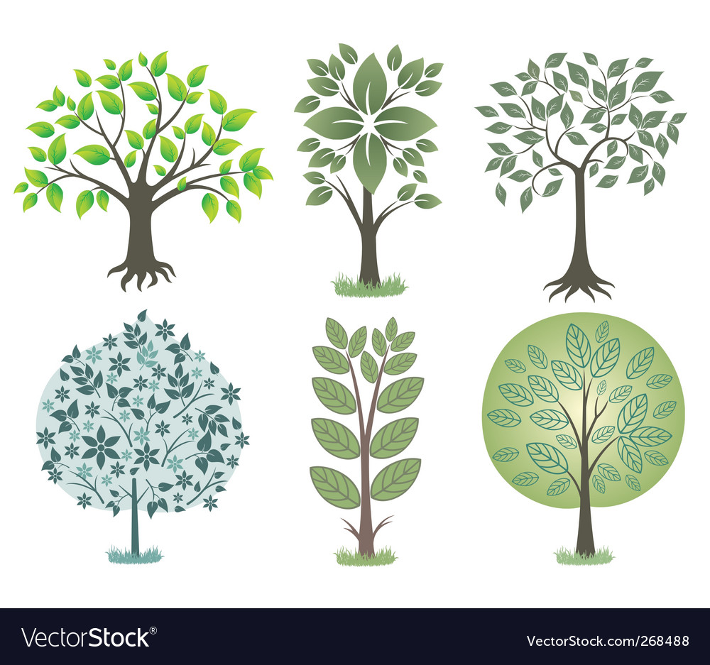 Set of beautiful trees Royalty Free Vector Image