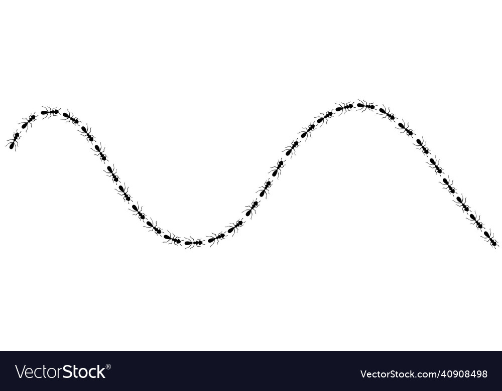 Ants trail curve ant path isolated in white Vector Image Ants trail curve ant path isolated in white