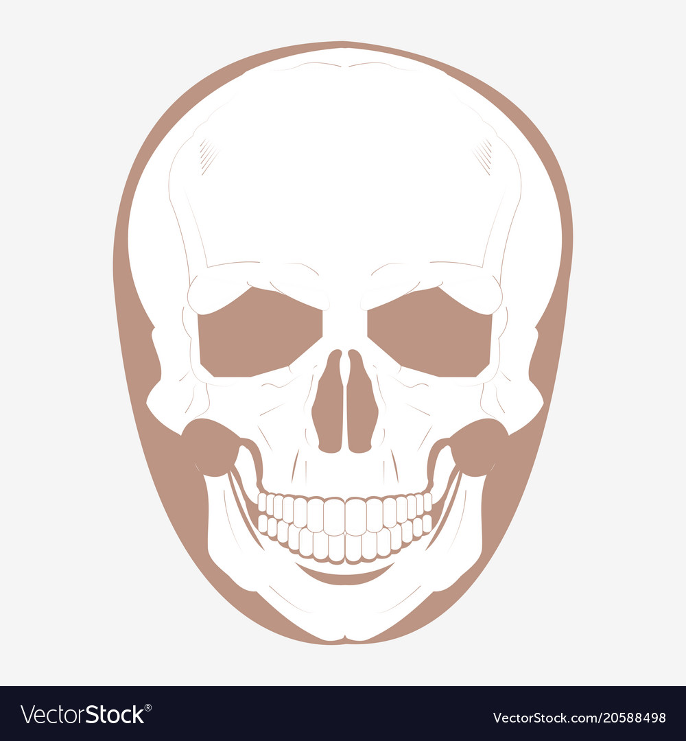 Skull icon