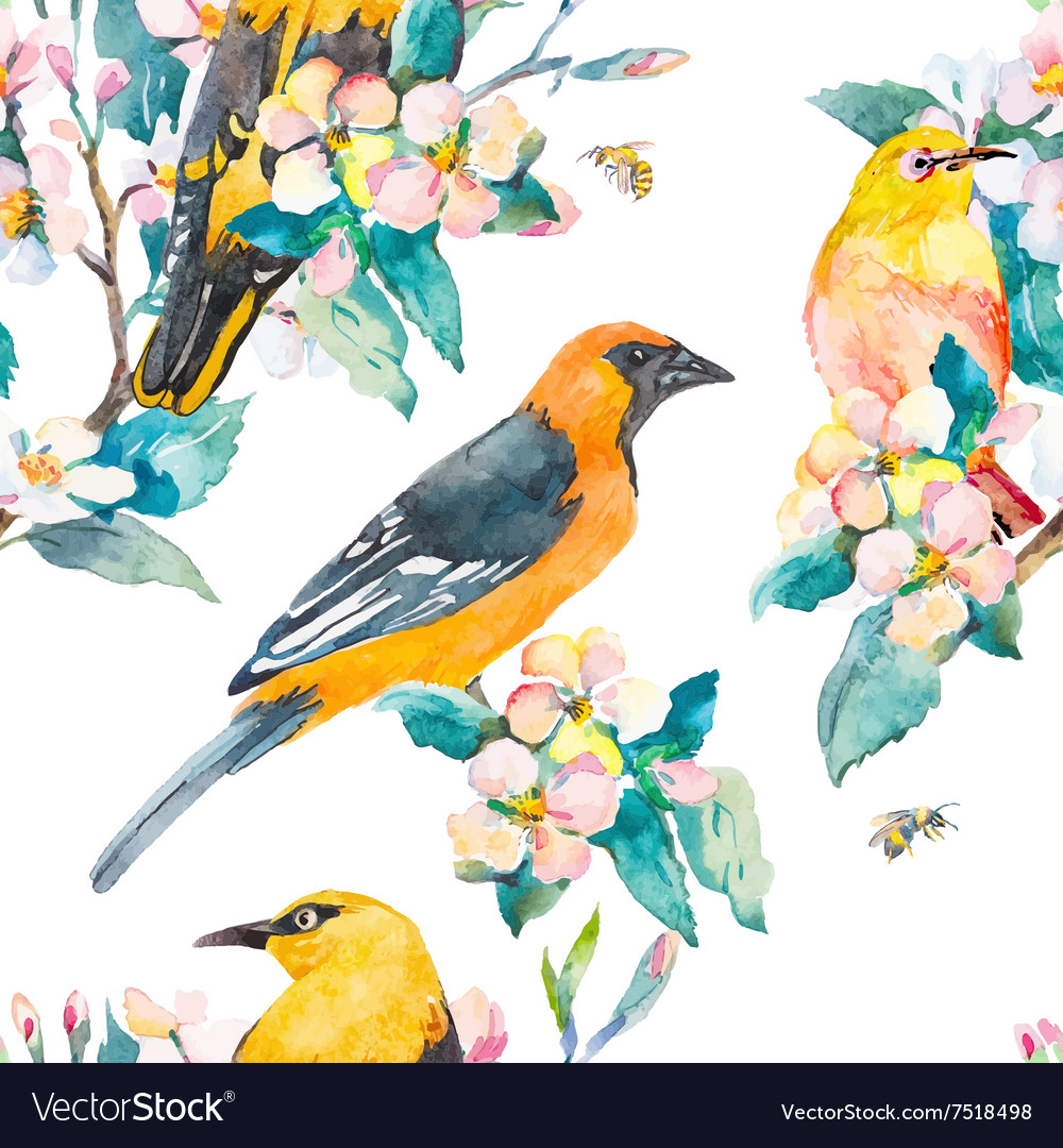 Spring pattern flowering branch oriole and white
