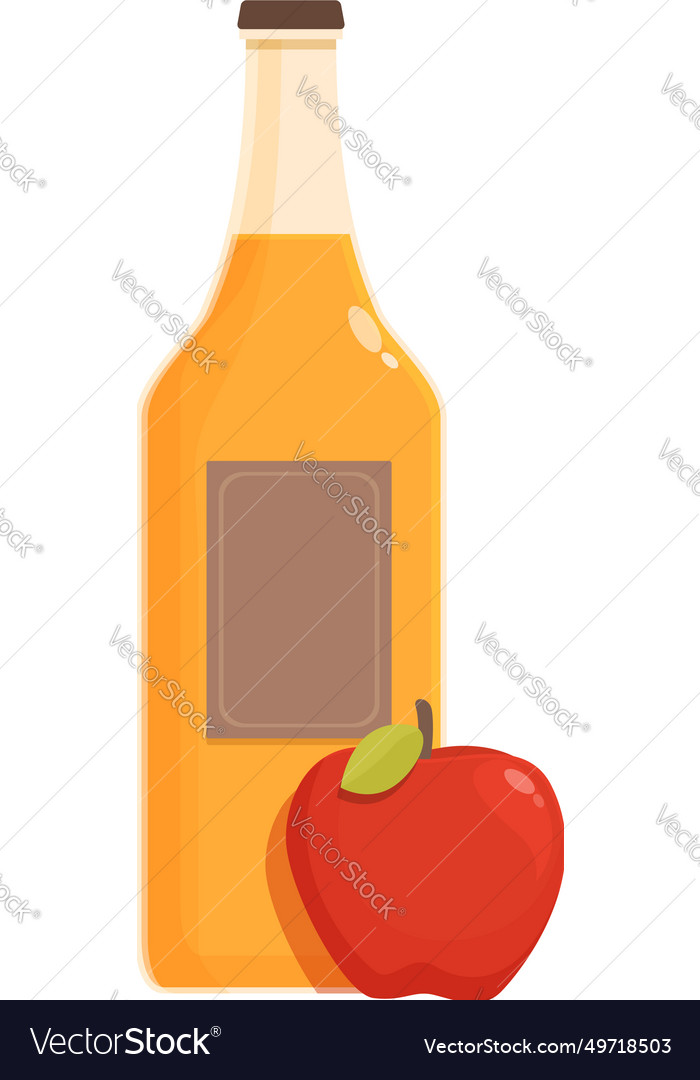 Apple cider bottle icon cartoon cask warm Vector Image